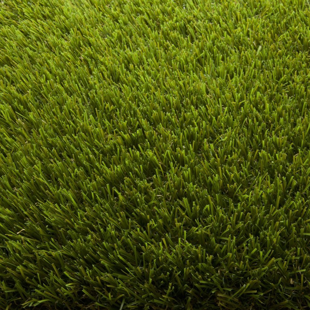 Ruby 20mm Artificial Grass